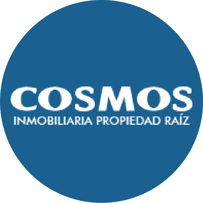 Cosmos Inmobiliaria Local 319